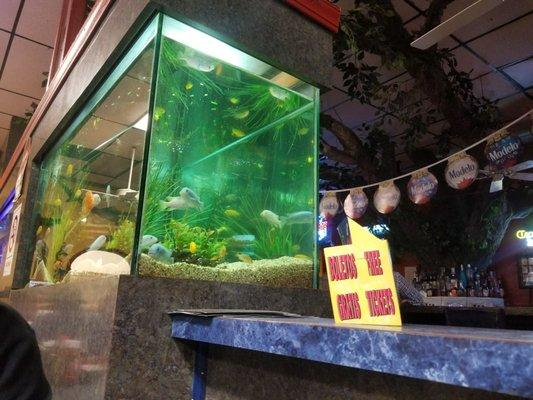 Chilos Seafood