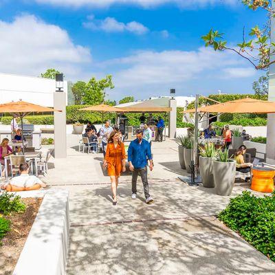 True Path Financial and Insurance Services