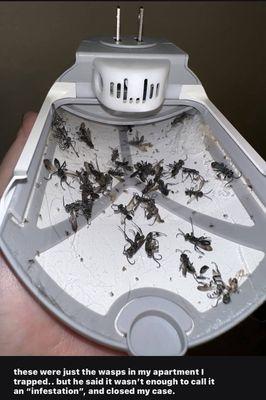 City of North Richland Hills