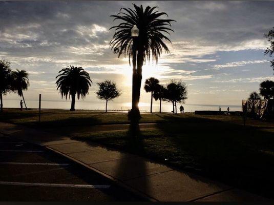 St Petersburg City of