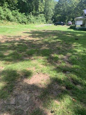 Working Man's Tree Service