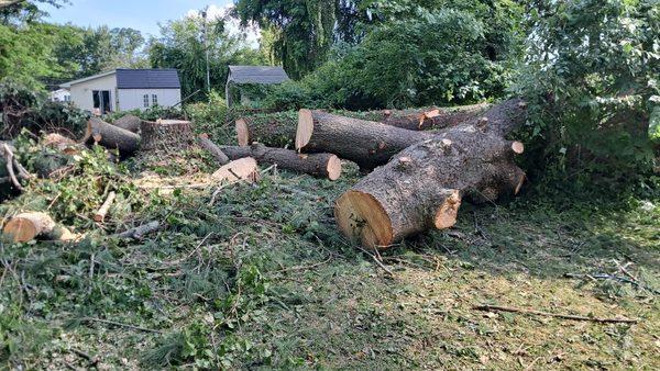 Antonio's Landscaping