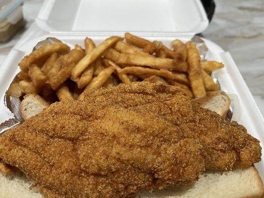 Catfish fillets