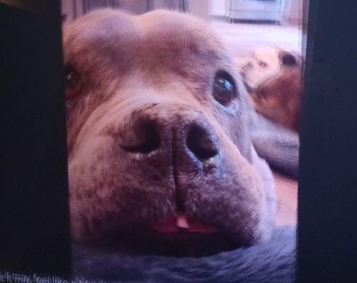 This photo is called a triggering photograph. It's designed to trigger a smile on your face!