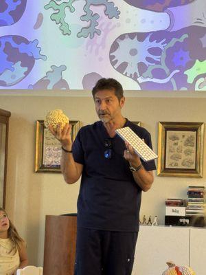 The Brain Observatory