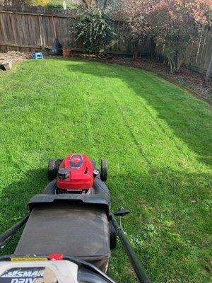 Jairo's Gardening Service