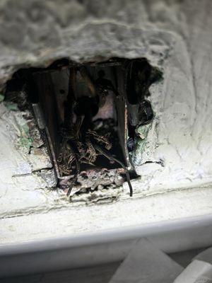 Jon Carrothers - Pillar To Post Home Inspectors