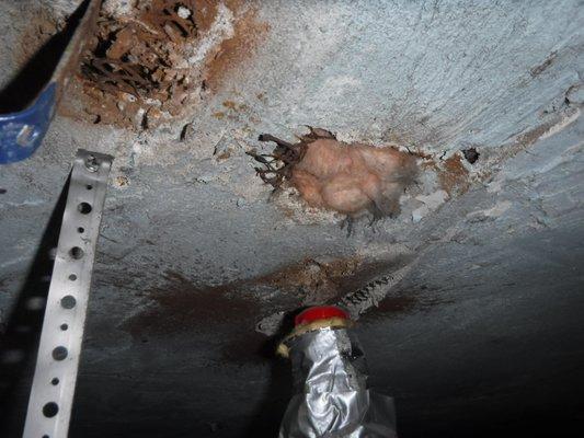 Home Pulse Pro Inspections & Consulting