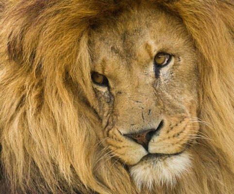 Getting a DUI or any charge thru the court system seems scary. We are here to help you.