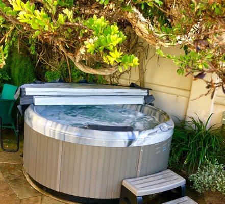 Cali Spa Repair & Service