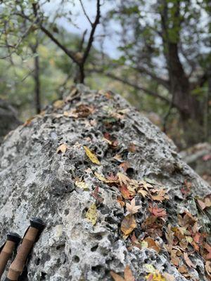 Hiking sticks and a fun rock