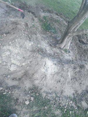 Dwayne Foundation Landscaping