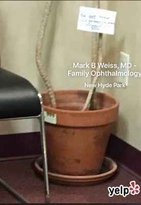 Mark B Weiss, MD - Family Ophthalmology