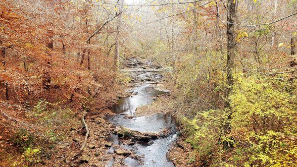 Cascades & Mill Road Trail