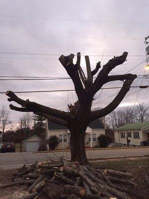 Huff's Tree Service and Handyman