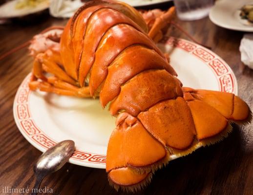 3 lbs steamed lobster. Yeahhhh, check out that tail action. lol. =P