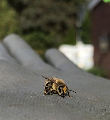 Millwood Garden Center