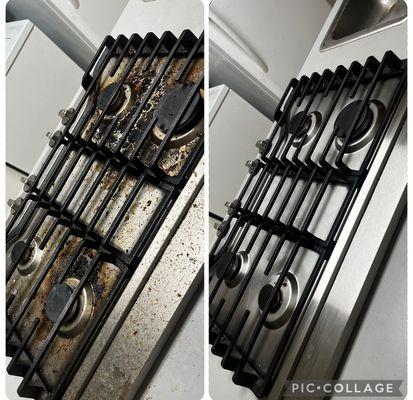 Detailed Duos Cleaning and Landscaping