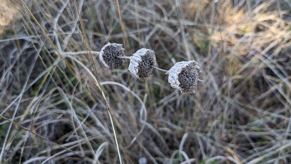 River Ranch County Park