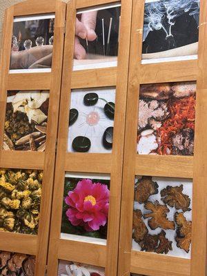 Forestream Acupuncture & Herbs