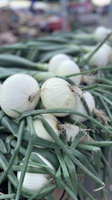 Florida Sweet Onions- Nicknamed "Strawberry Onions"
Freshly picked from one of our Florida farmers