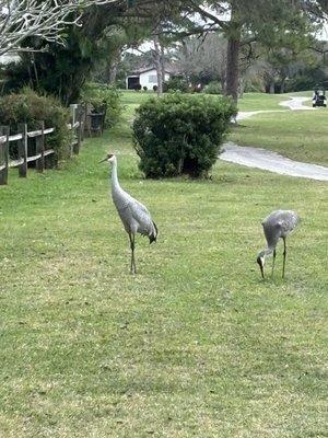 Heritage Ridge Golf Club