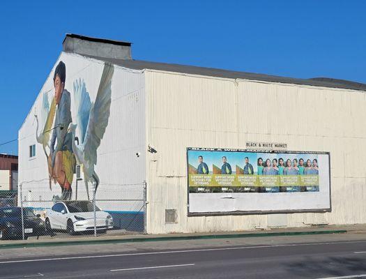 Black & White Liquors