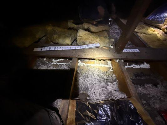 Insulwise Energy & Comfort Solutions