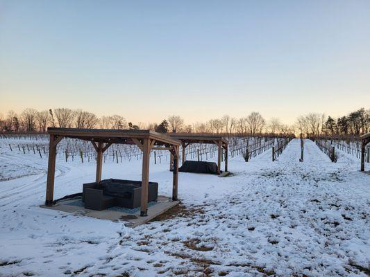 Snowy vineyard vibes