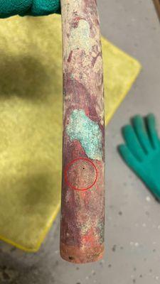 Bloodhound Plumbing Leak Detection