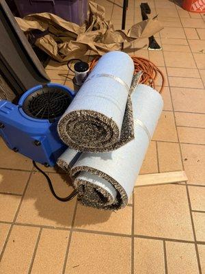 Carpet Exchange