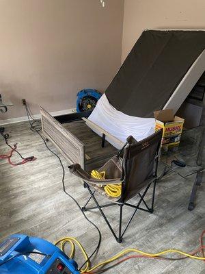 Eco Bed Bug Grand Strand