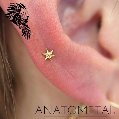 Black Label Collective