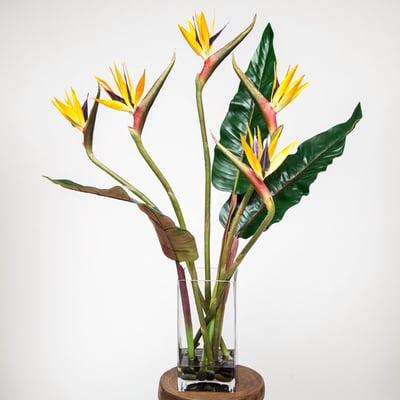 Silk Birds of Paradise. Floral arrangements that last forever.