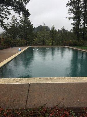 Sonomarin Pool Service