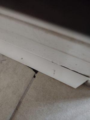 Tile edges so jagged and broken that they peek out from under the quarter round. Holes in grout. Quarter round not caulked.