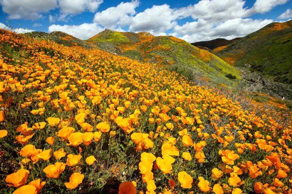 Just a quick note, if you want to reach me please call me direct at 916-300-7232!