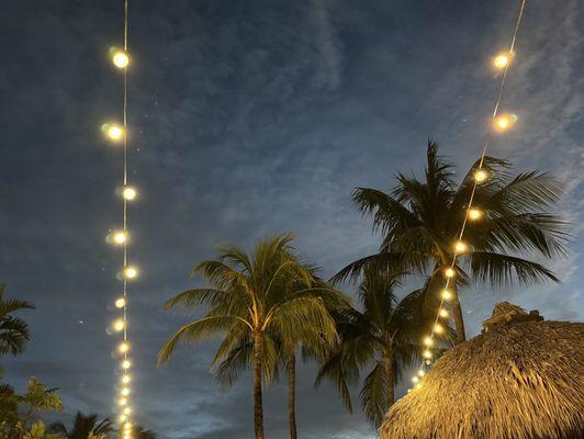 Dolphin Point Villas