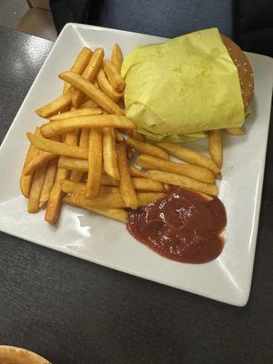 Hamburger and fries . The kids liked the food especially the fries crispy and well seasoned.