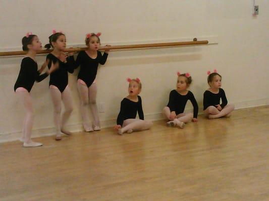 Sunset Movement Arts