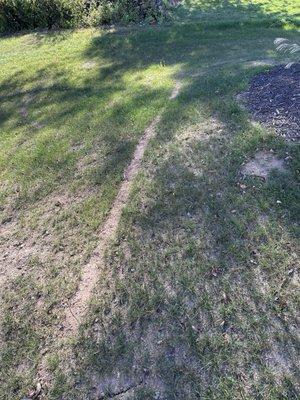 NEW Landscape & Lawn Care