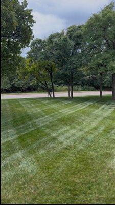 Cardoza Lawn Care