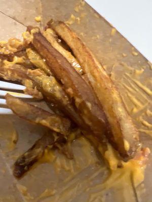 These cheesy bacon fries were soooo good that I didn't even stop to take a picture. They were very filling so I couldn't eat them all.