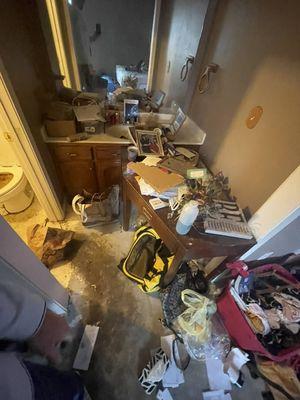 This was the before picture of a clean out