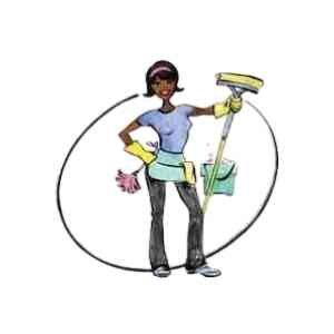 Holmes To-Go Cleaning