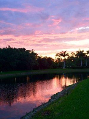 Isles of Porto Vista