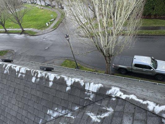 Roof after cleaning and moss treatment