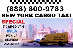 man with a van