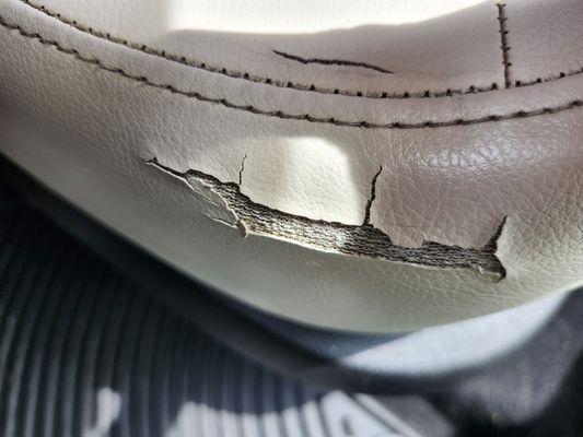 Terry's Upholstery Unlimited