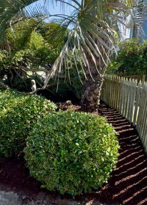 Reel Coastal Services